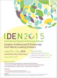 IDEN 2015