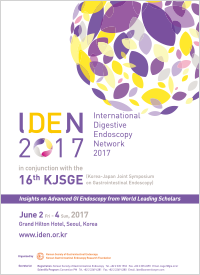 IDEN 2017