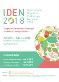 IDEN 2018